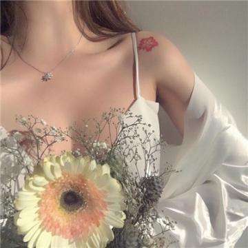 十月便是美棉花开时